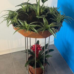 Pot à plantes octogonale peint